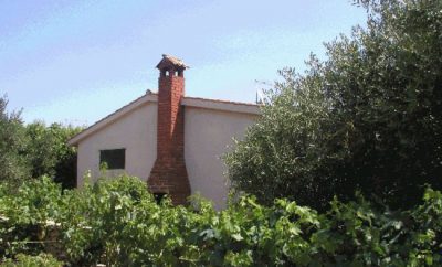 House Ticinovic