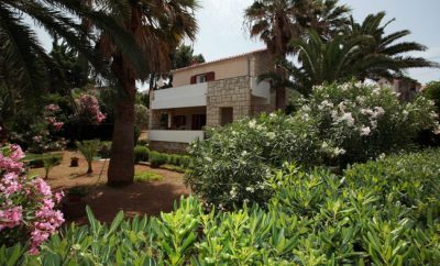 Vila Palma – apartment “ELLI”